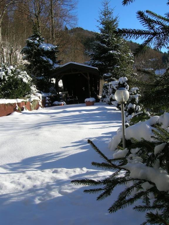 Aktivpension Regenbogen Willingen  Dış mekan fotoğraf